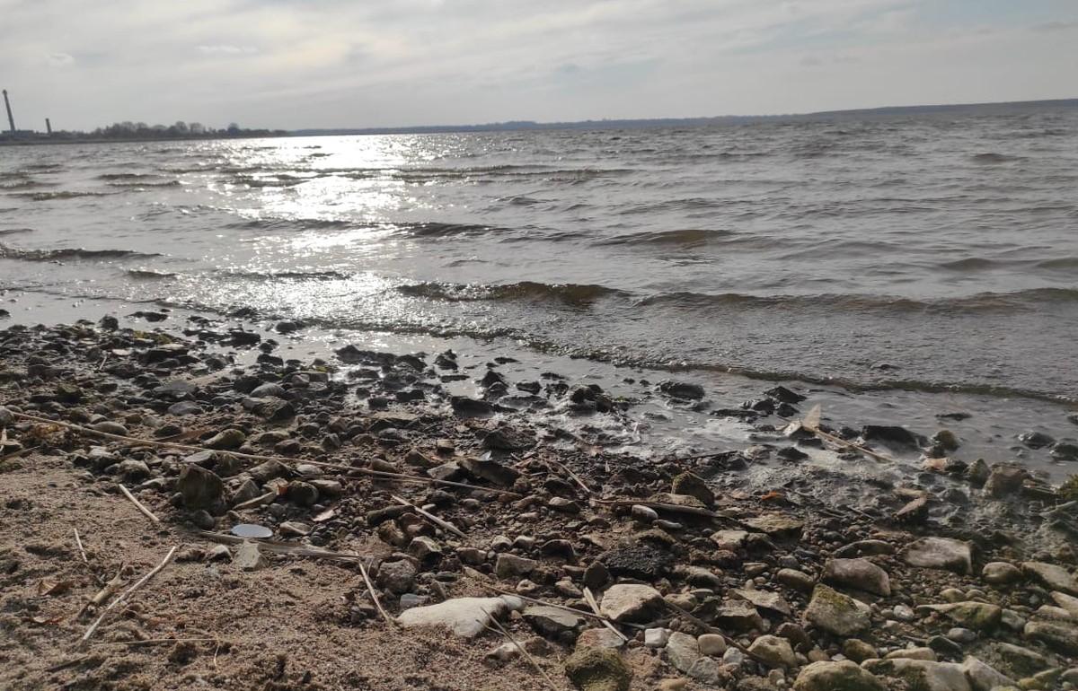 Экологи не нашли разлива мазута на острове Кличен в Тверской области
