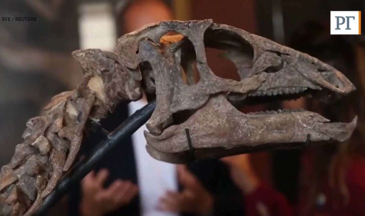 На аукцион выставили динозавра, жившего 150 млн лет назад
