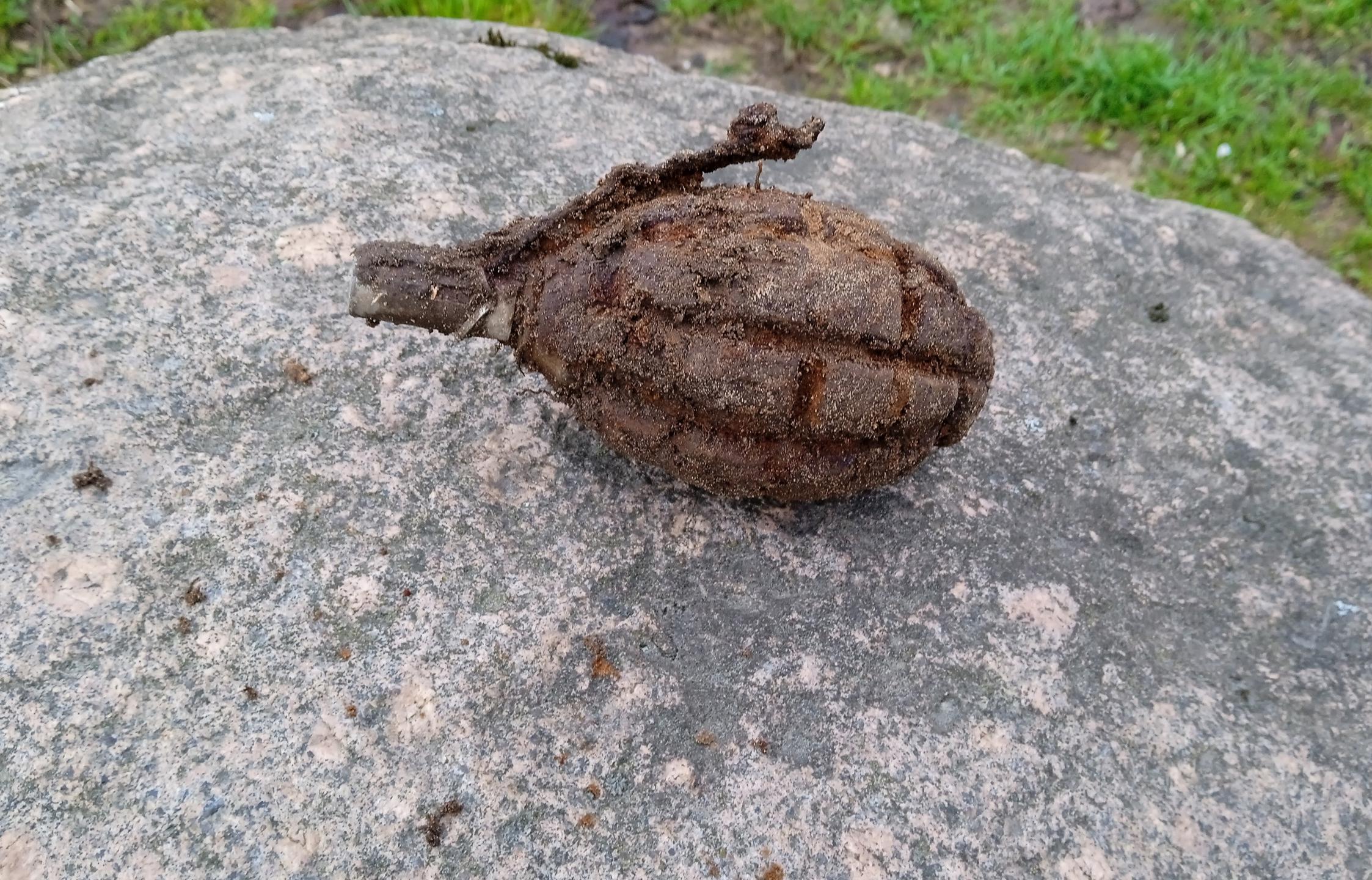 В Твери на Волынском кладбище собака нашла гранату
