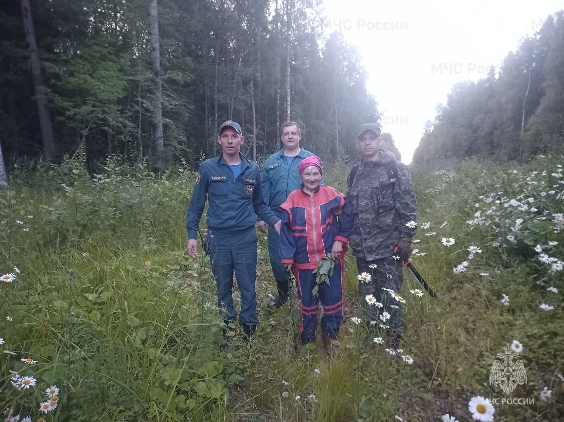 В Тверской области вывели из леса заблудившуюся пенсионерку 