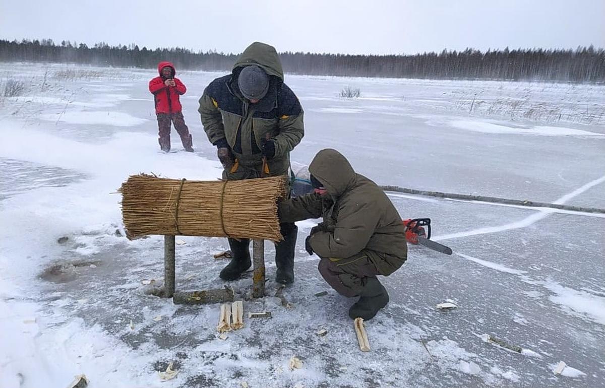 В охотничьих угодьях в Тверской области установили «домики» для водоплавающих птиц