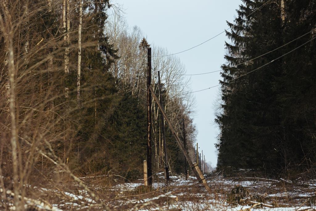 Россеть тверская область