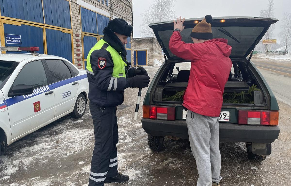 В Осташкове лесничие во время досмотра автомобилей нашли семь елей Фото: les.tver.ru