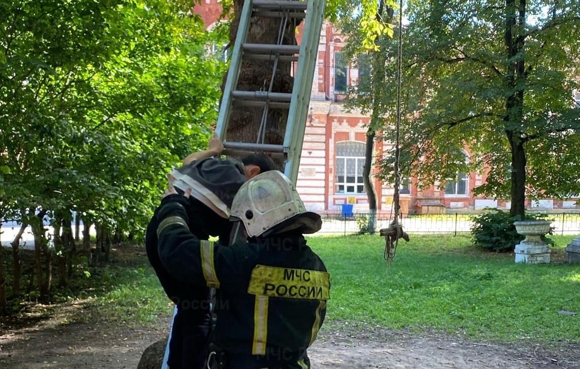  В Твери пожарные сняли ребёнка с дерева
