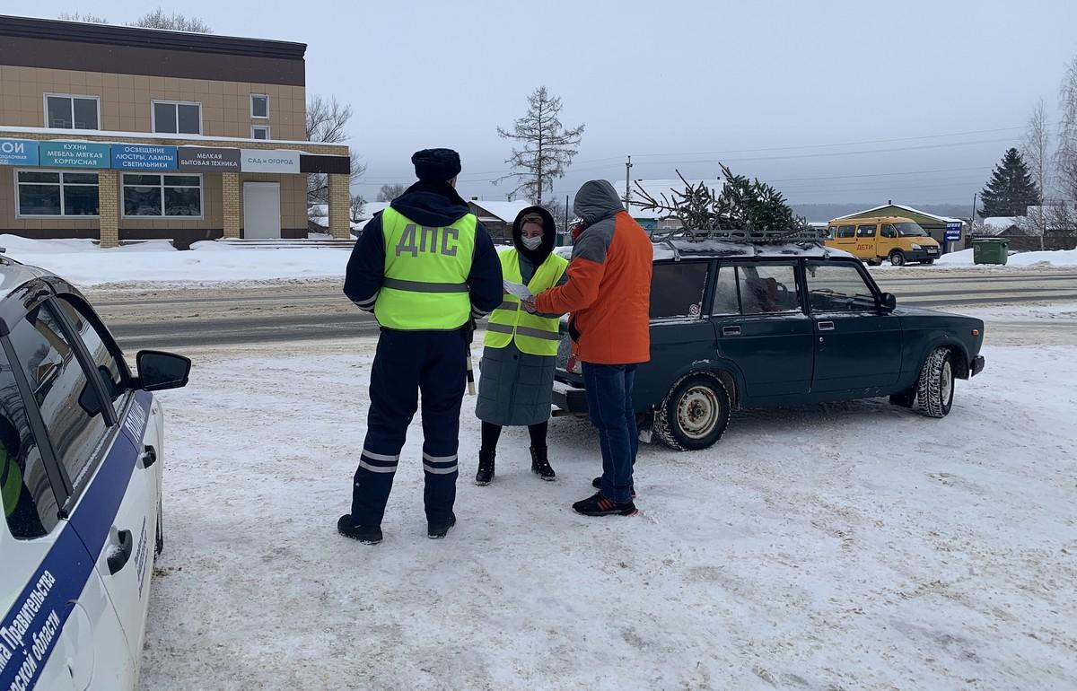 В Осташкове Тверской области проверяли машины, везущие новогодние елки