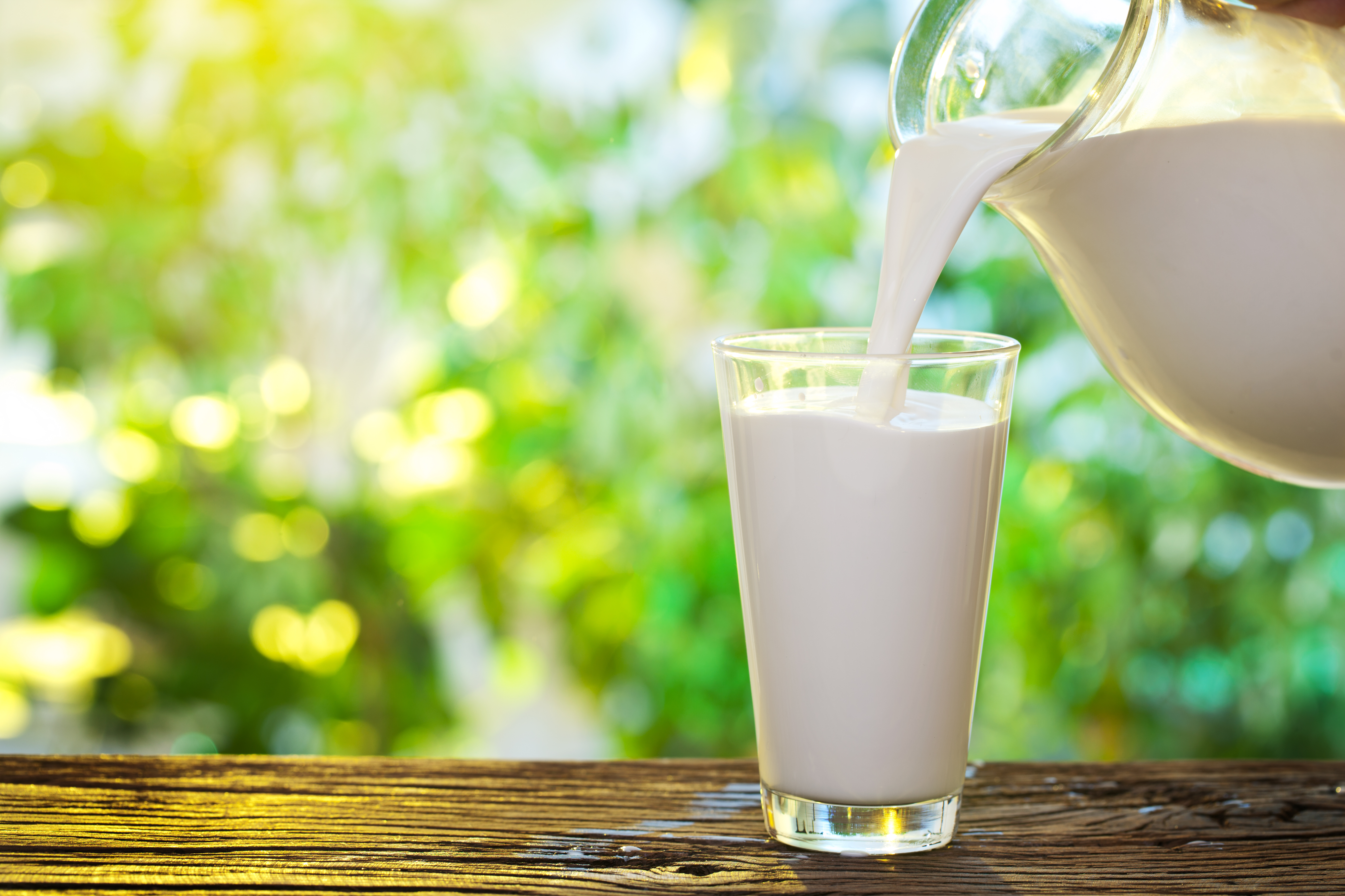 На ферме Андреапольского района выпускали некачественное молоко