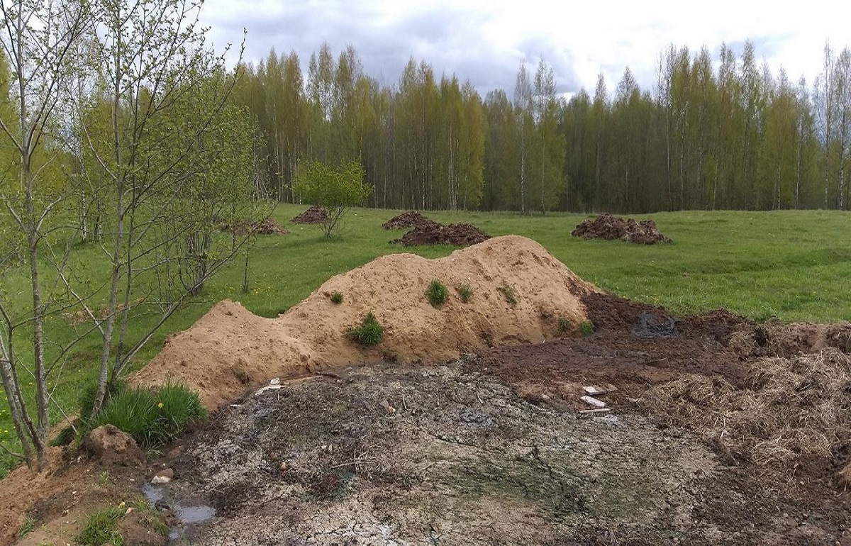 Житель Вышневолоцкого района загрязнял природу навозом свиней, баранов и кур