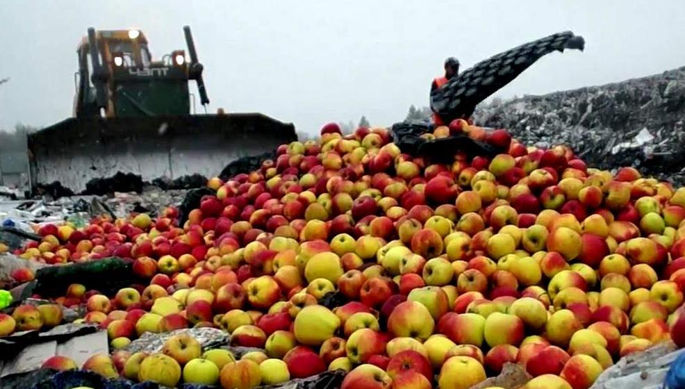 Два грузовика яблок пустили под бульдозер в Тверской области 