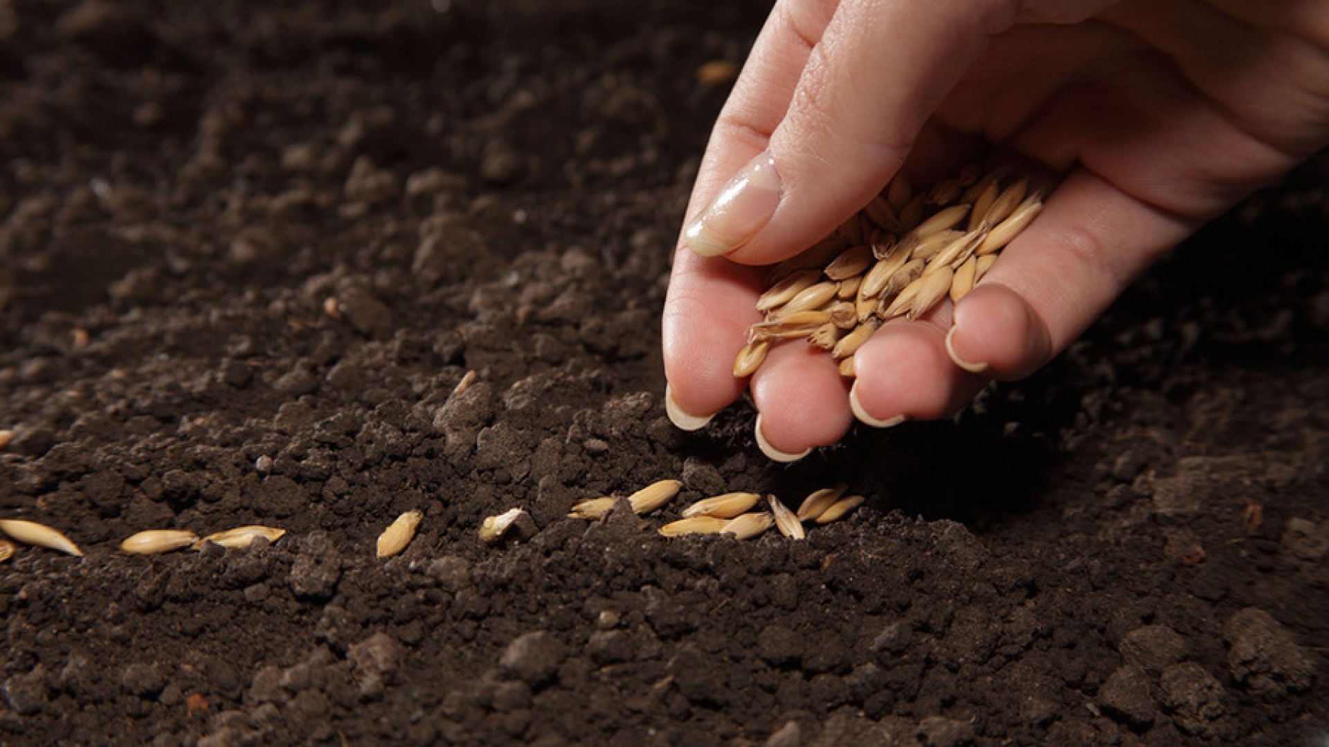 В Тверской области продолжаются исследования почвы на плодородие
