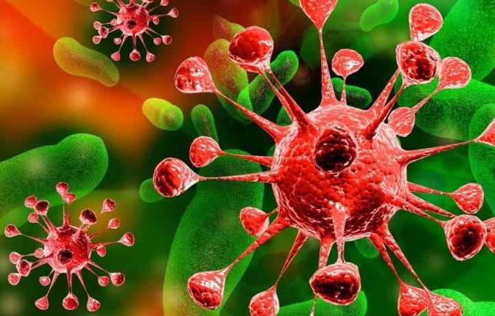 Срок ПЦР-теста на коронавирус в России сокращен до 48 часов