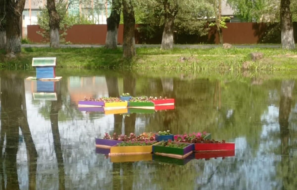 На пруду в Оленино Тверской области появились плавающие клумбы - новости Афанасий
