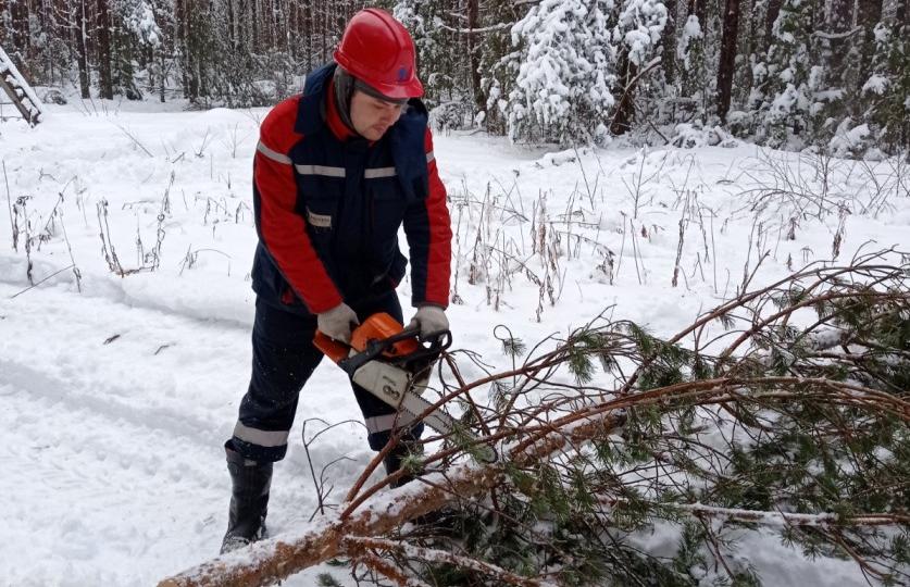 Восстановлено электроснабжение 75% потребителей после снегопада в Тверской области - новости Афанасий