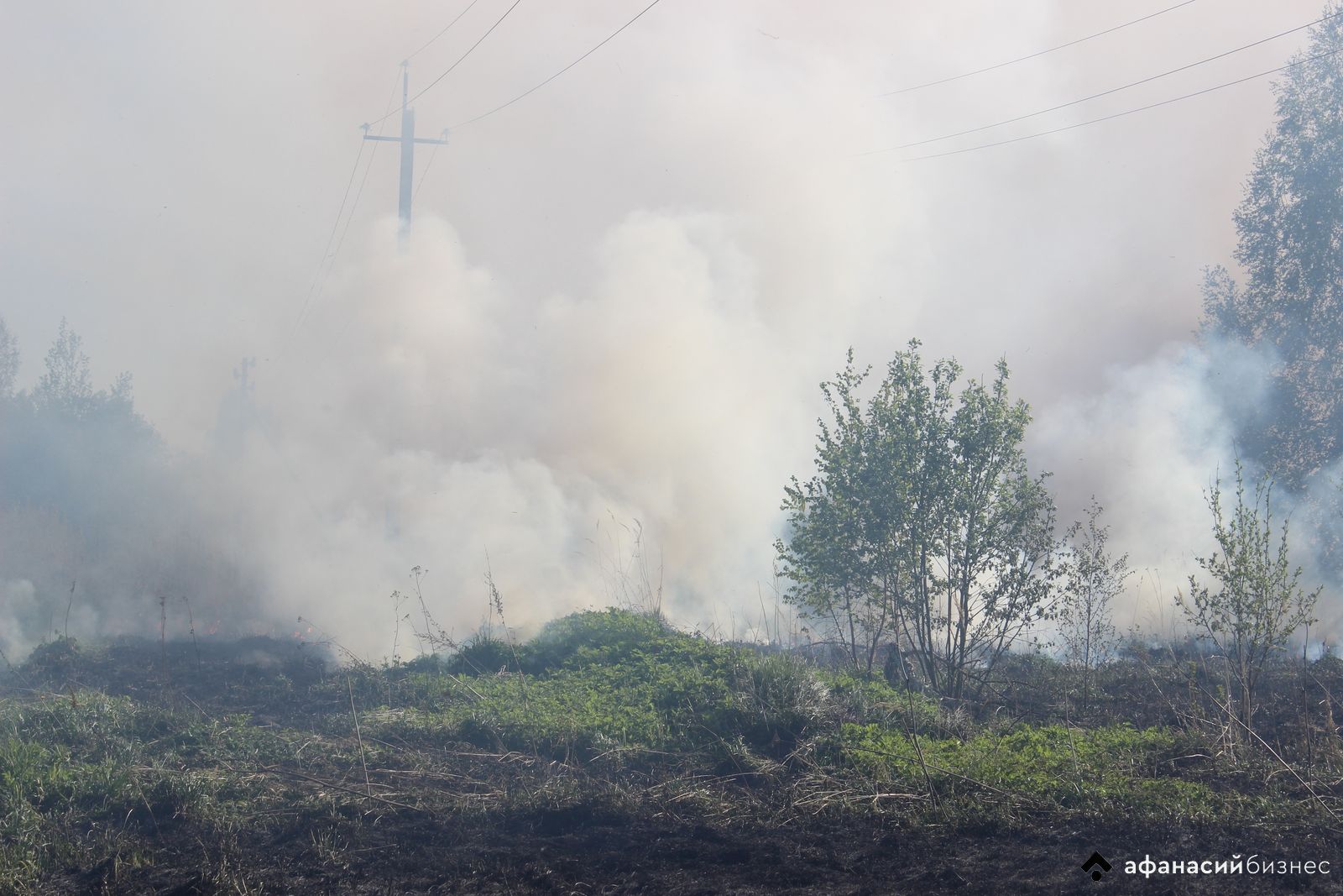 Отделения нескольких пожарных частей борются с огнем на поле в деревне Тверской области