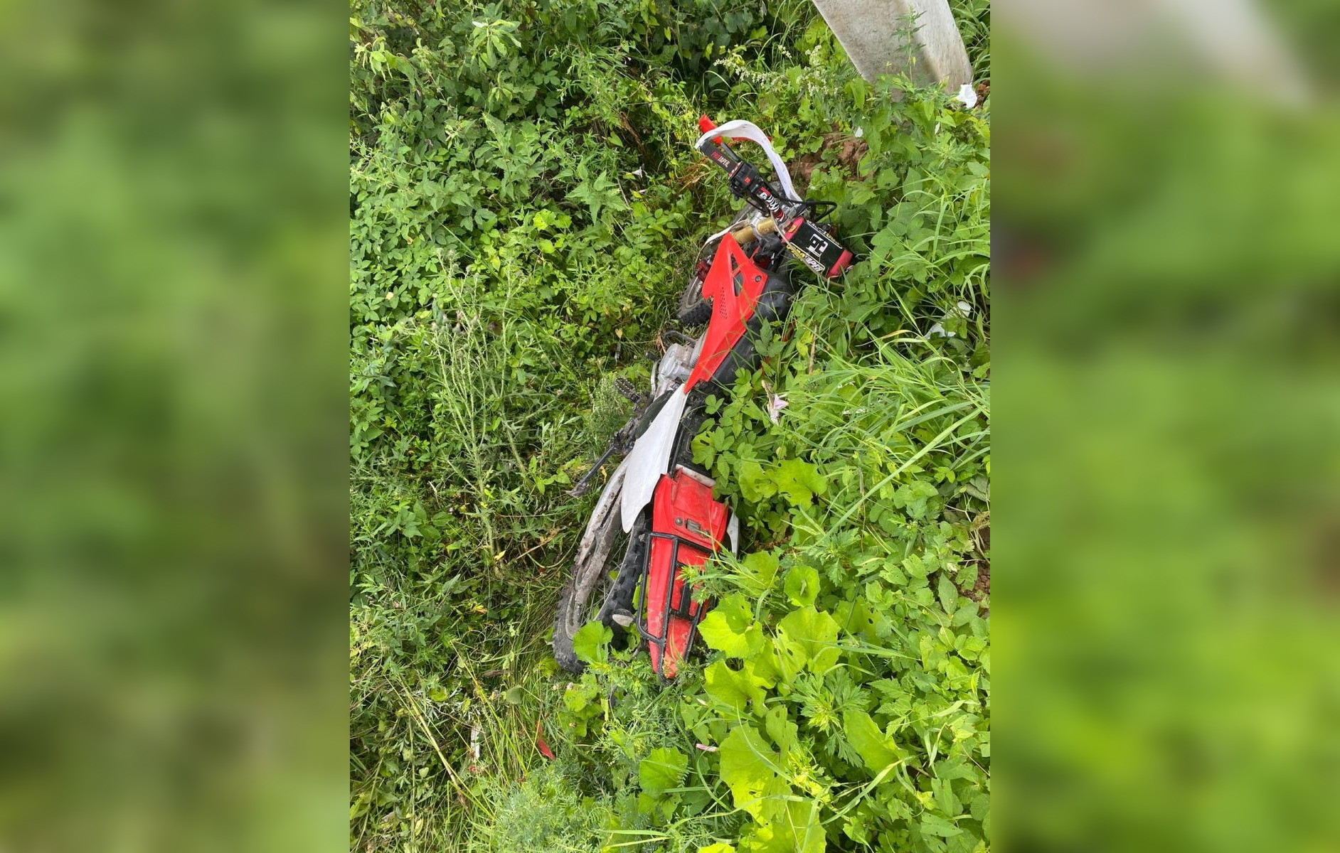 В Тверской области мотоциклист погиб, врезавшись в столб