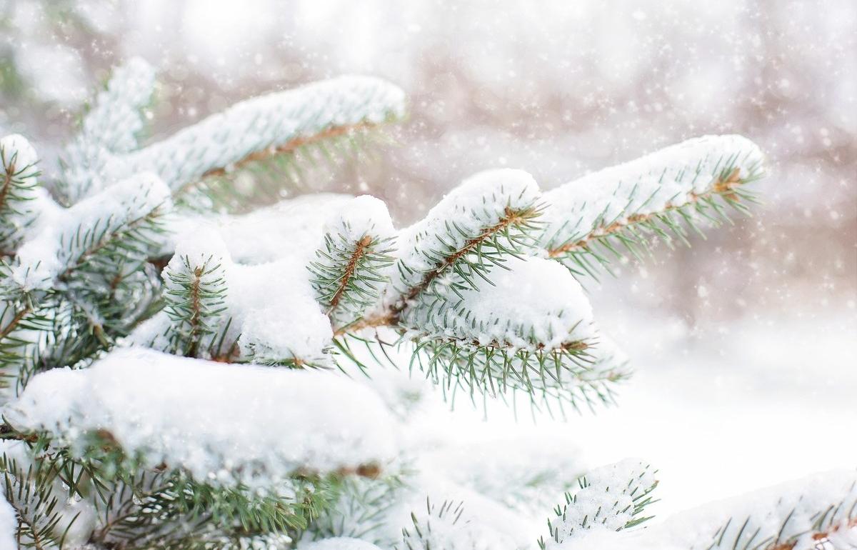 В Рождество в Тверской области будет холодать