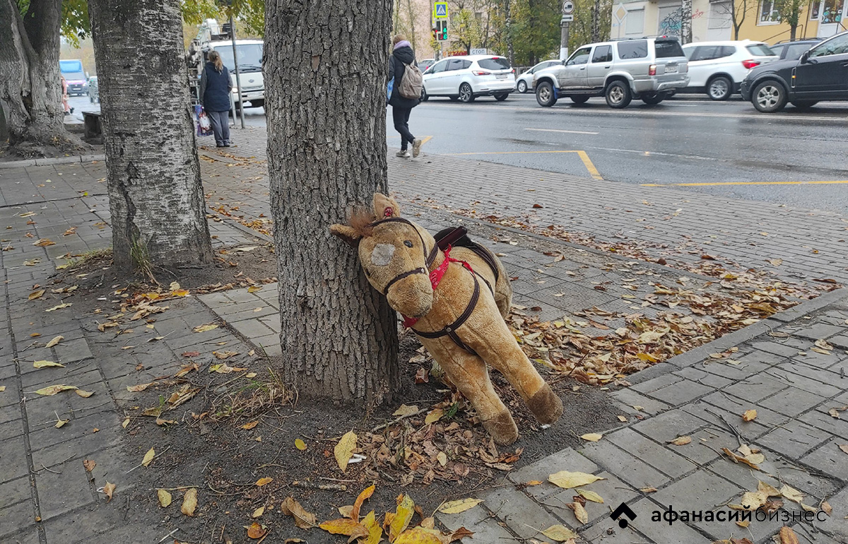 Погода в Твери сегодня: прохладно, но сухо