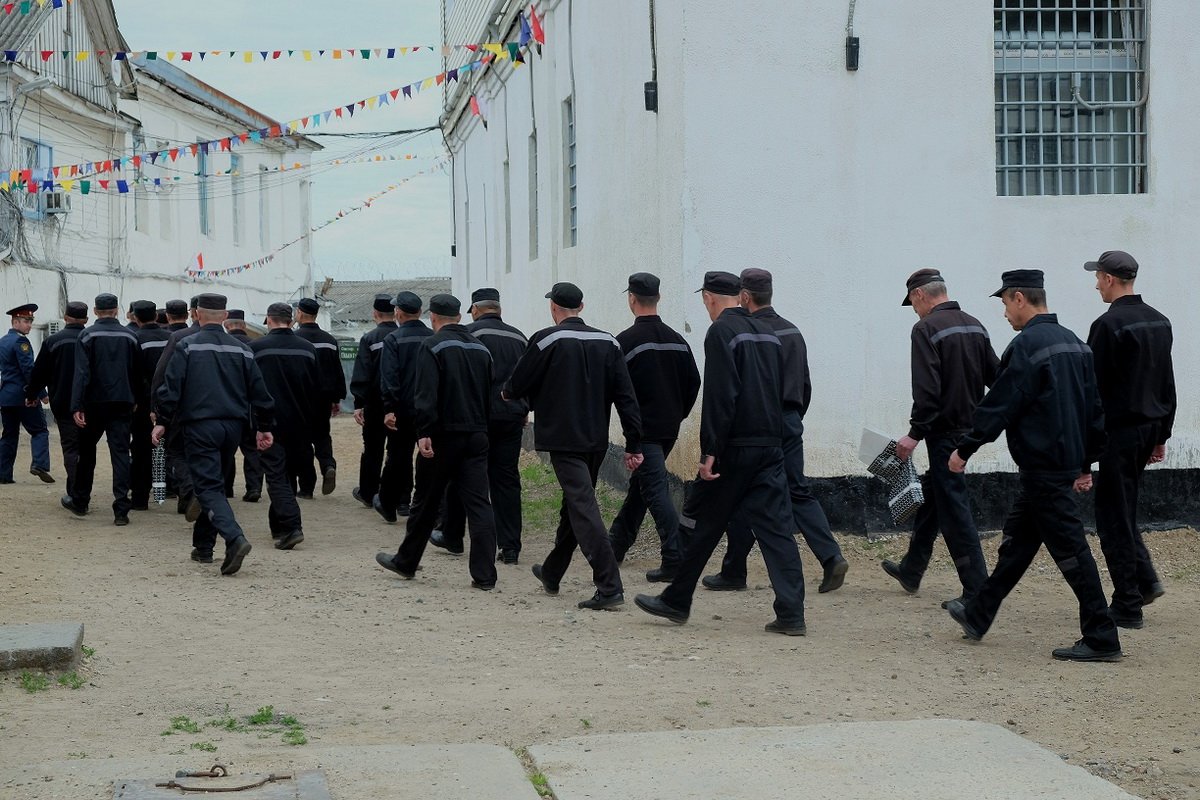 Осужденные будут принудительно работать на птицефабрике в Тверской области