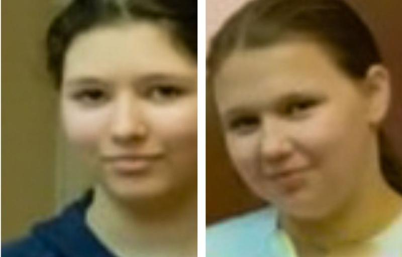 Две девочки-подростка пропали в Тверской области  - новости Афанасий