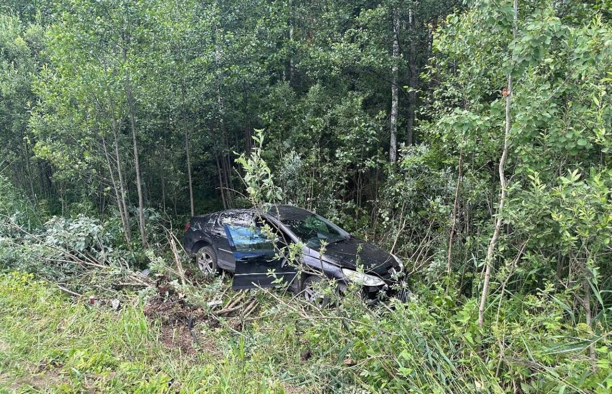 Взрослый и дети получили травмы в ДТП под Тверью