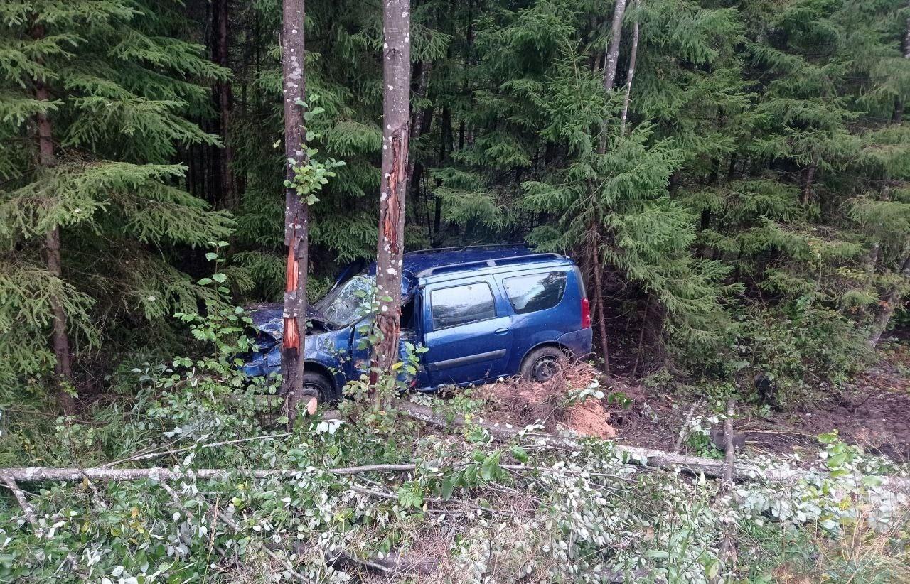 Под Вышним Волочком Lada врезалась в дерево: есть пострадавшие