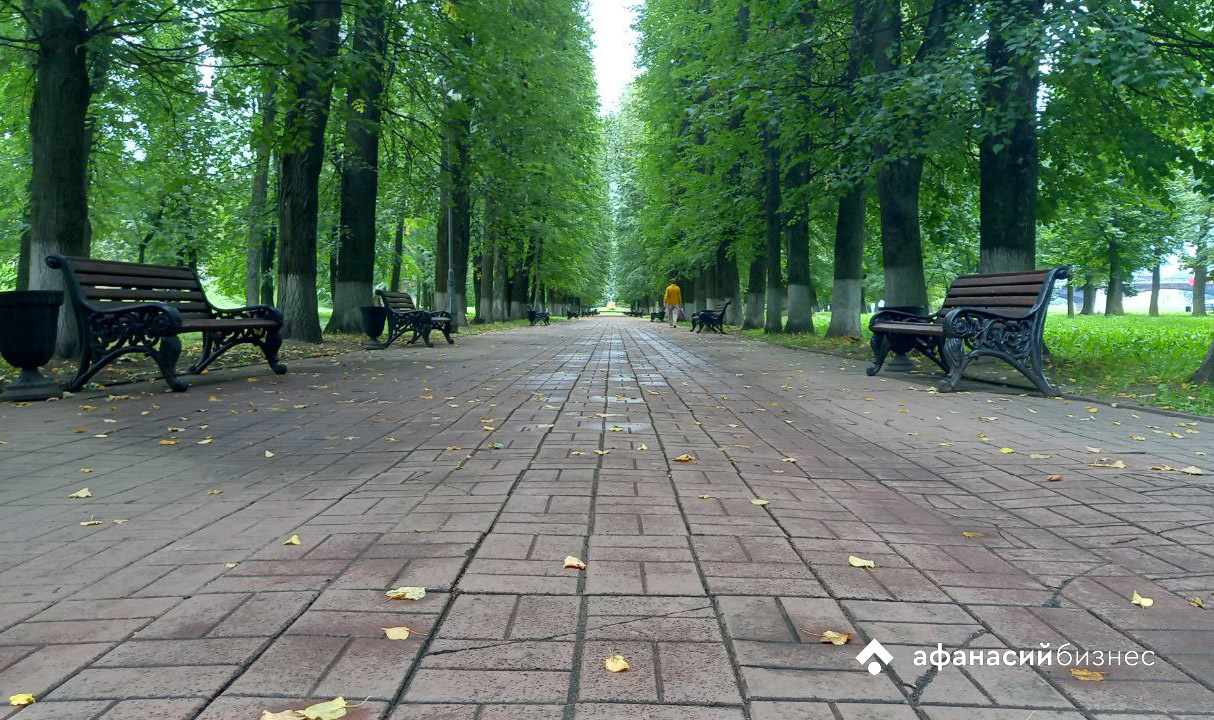 Погода в Твери сегодня: синоптики прогнозируют дождь