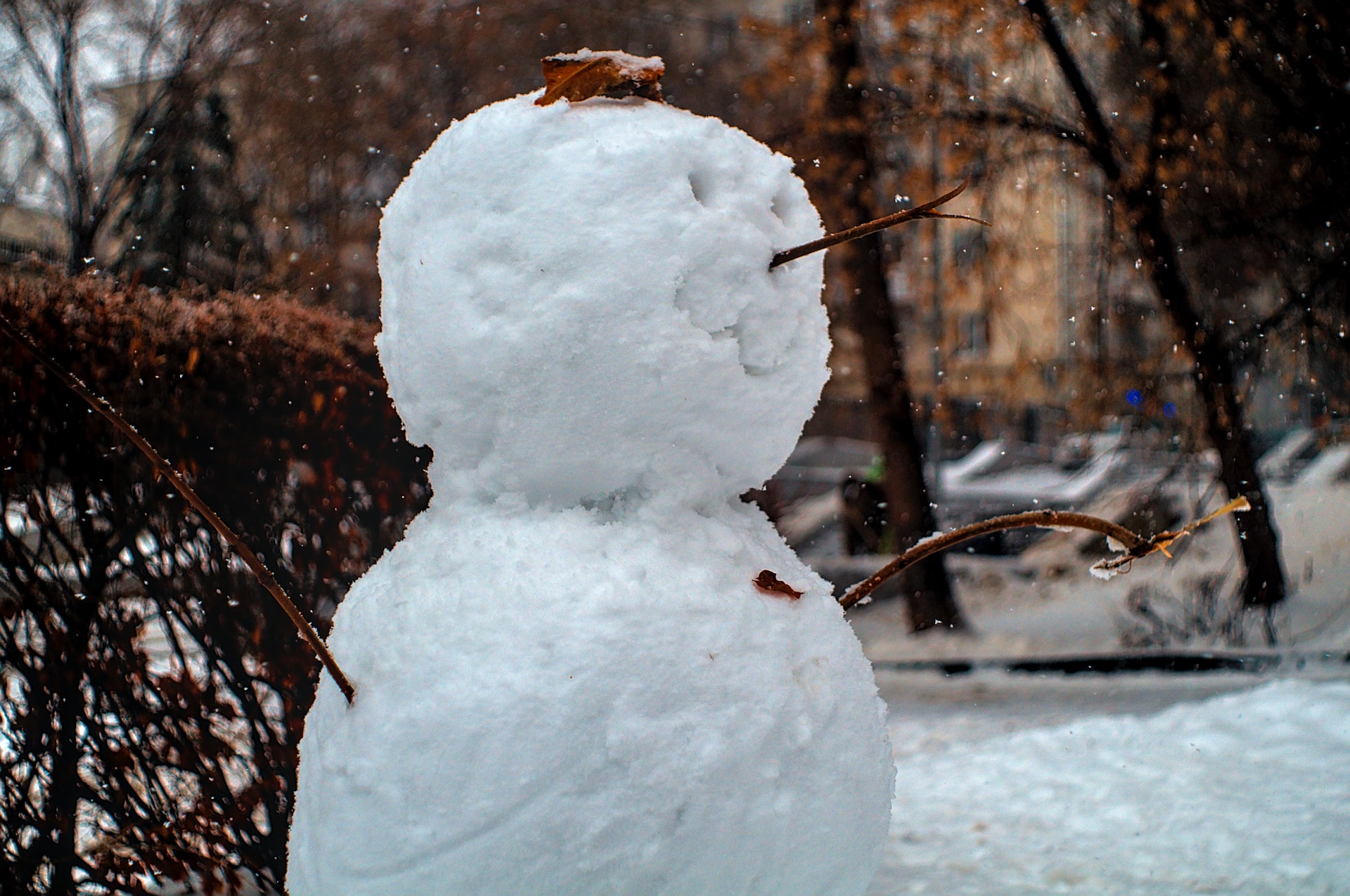 Прогноз погоды в Тверской области: снова мороз до -30