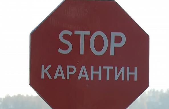 В Тверской области отменен карантинный режим на 18 гектарах земли