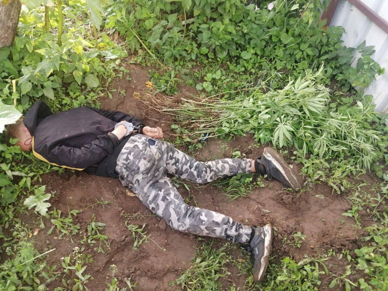 Молодого парня с двумя килограммами конопли задержали в Тверской области - новости Афанасий