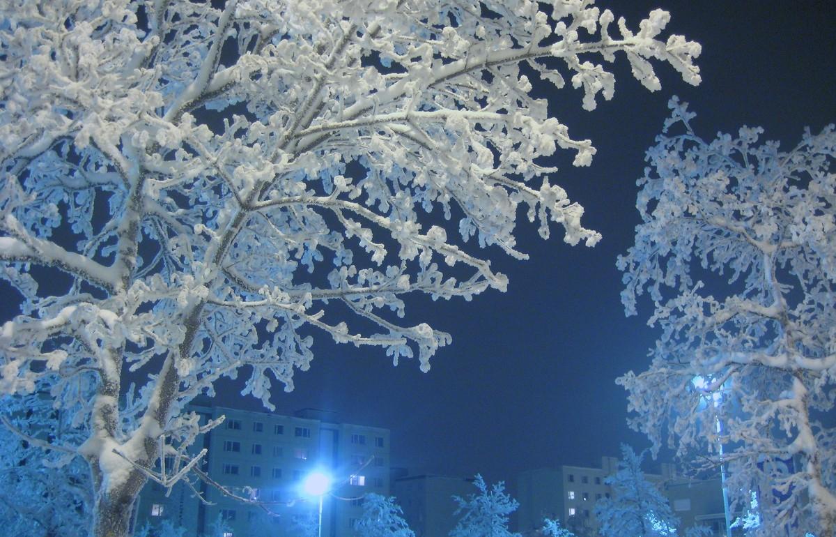 В Центральную Россию нагрянут ночные 20-градусные морозы