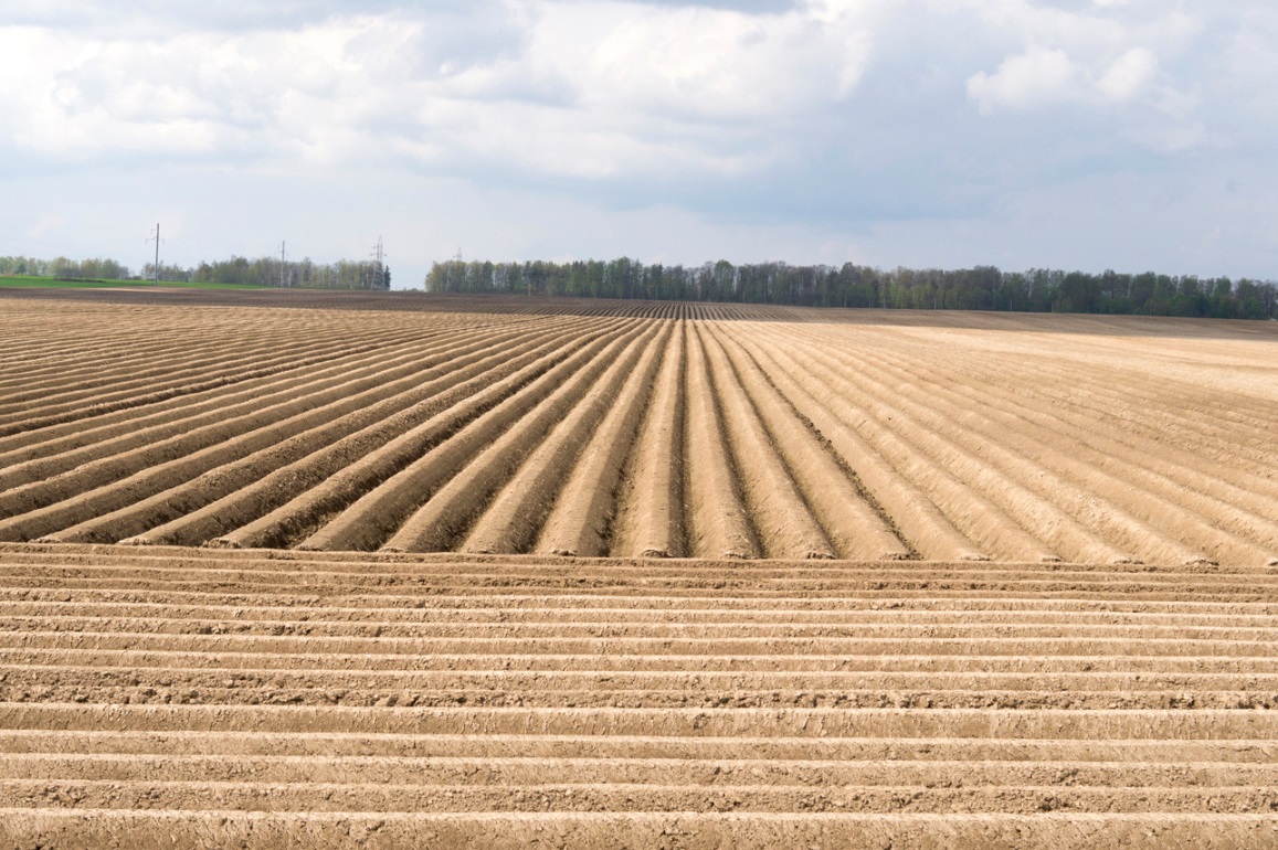 В Конаково земли сельхозназначения переданы в аренду предприятию «Редкинская агропромышленная компания» 