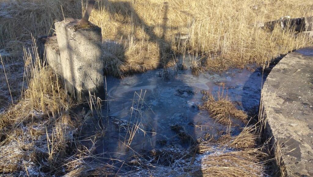 Общественники сообщили о том, что в Осташкове Тверской области в реку стекает мазут
