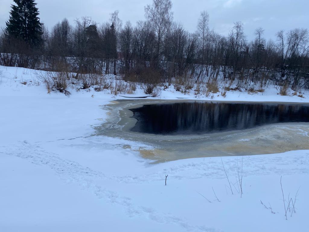 В Тверской области в школе, где училась утонувшая девочка, детям не разъясняли правила поведении на воде