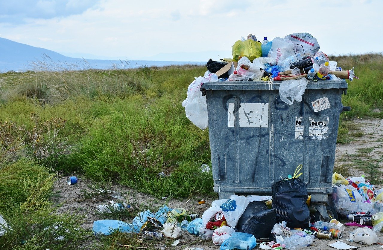 После вмешательства прокуратуры с улиц Бежецка уберут незаконную свалку мусора