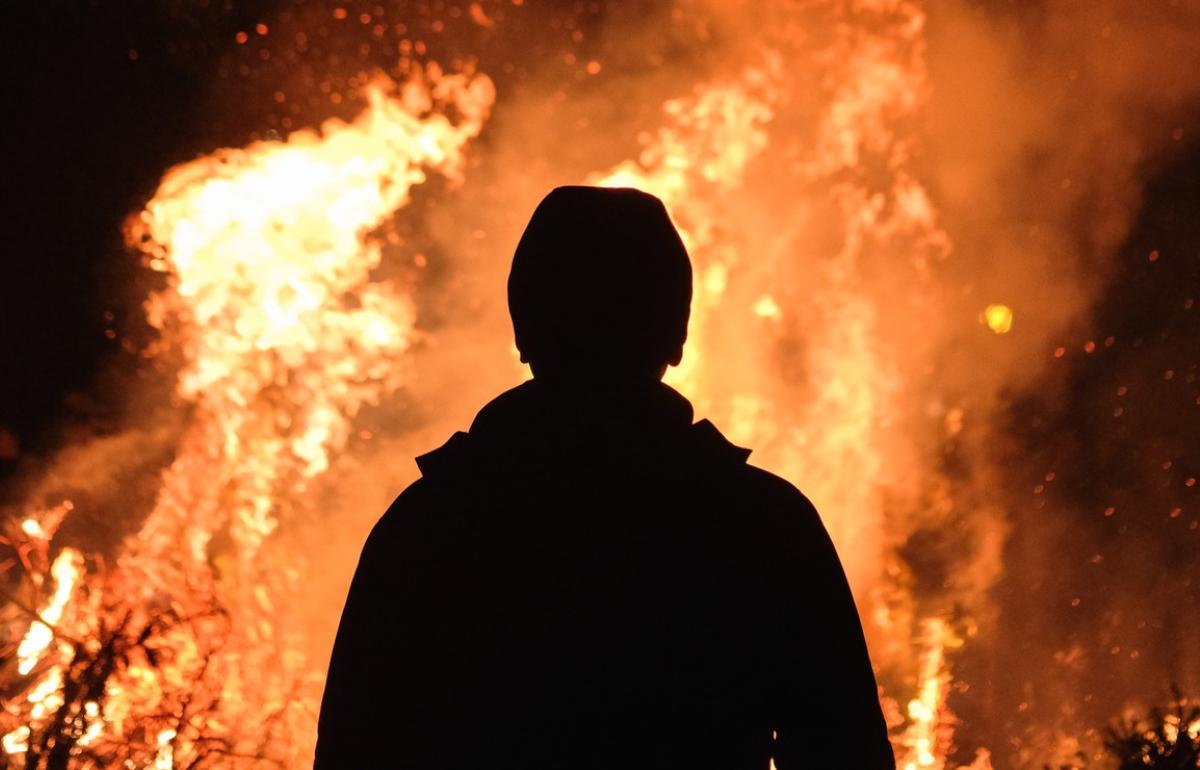 Житель поселка Калашниково ударил дознавателя во время работы на месте пожара Фото: Adam Wilson/ Unsplash