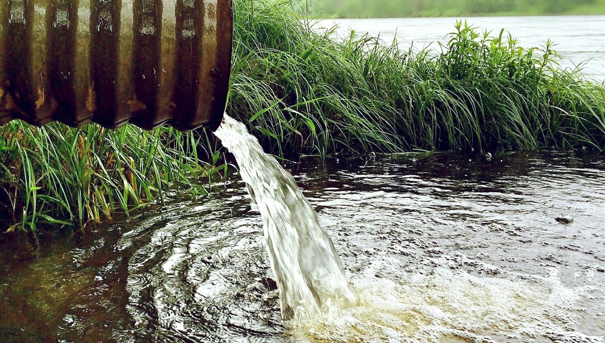 В Твери и Калининском районе пресечены факты загрязнения воды и почвы
