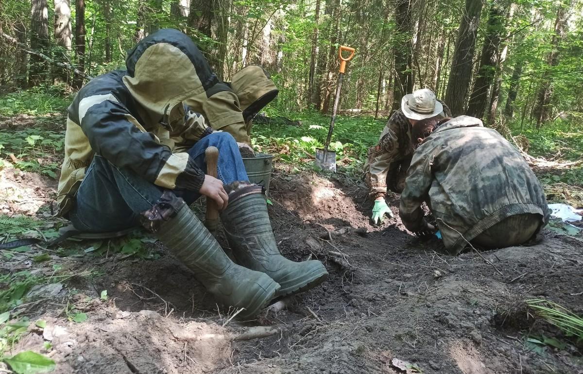 В лесах Тверской области нашли останки пилота самолета, разбившегося в годы войны - новости Афанасий