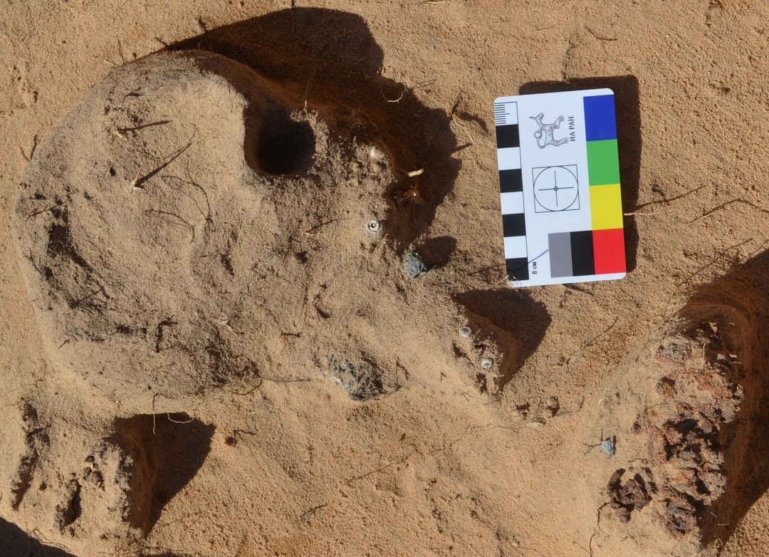 Об артефактах, найденных при строительстве М11 под Тверью, рассказали археологи