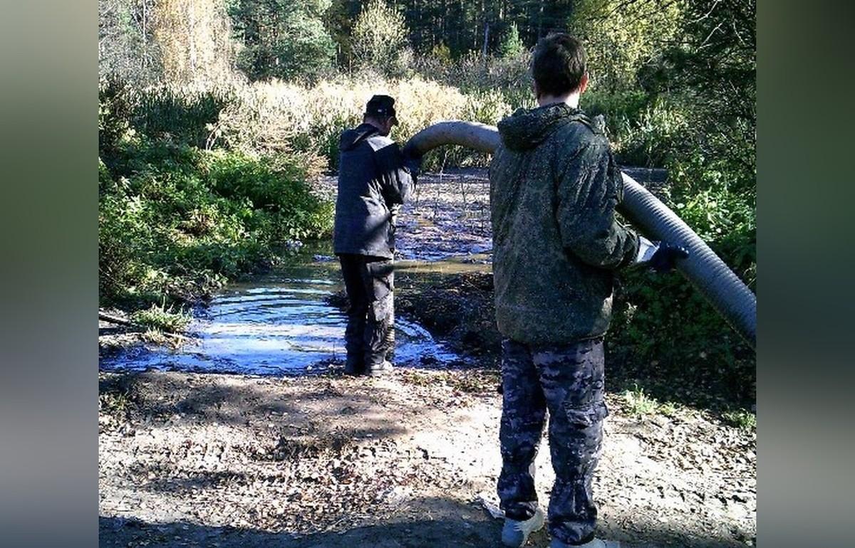 В Весьегонске Тверской области отходы из ассенизаторской машины сливали  прямо на почву | 23.08.2022 | Тверь - БезФормата