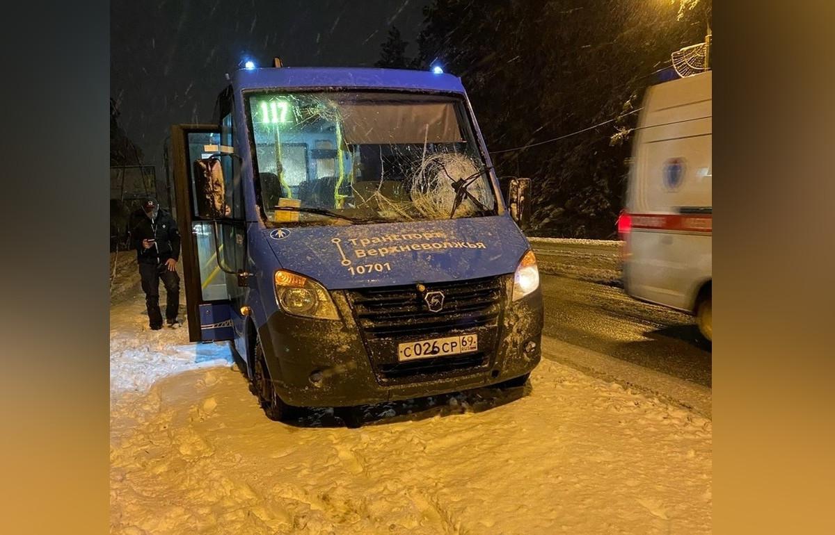 Под Тверью на автобус рухнуло дерево | 30.11.2021 | Тверь - БезФормата