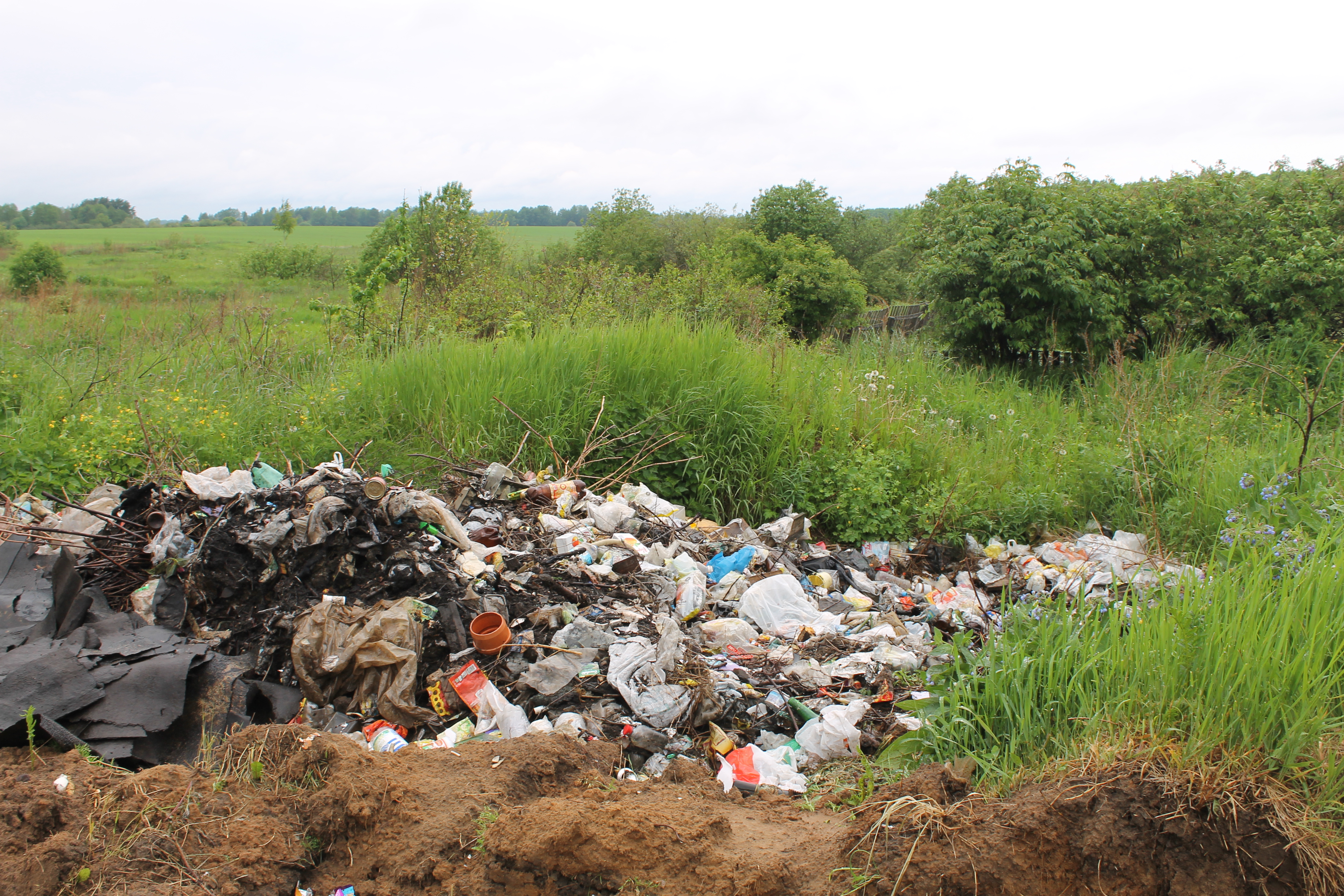 В Калязинском районе выявлена свалка бытовых отходов на заросших сельхозугодьях, принадлежащих юридическому лицу