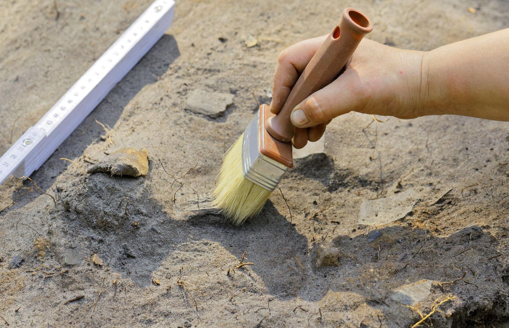 Археологи нашли в Твери средневековые игрушки и другие предметы - новости Афанасий