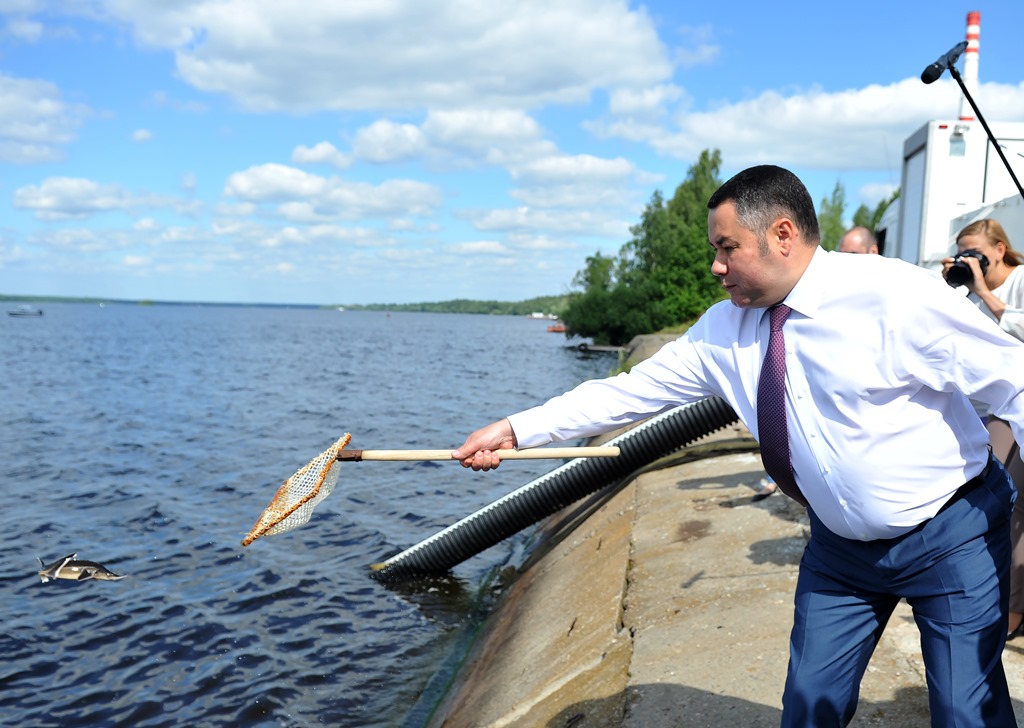 В Тверской области утверждена госпрограмма по управлению природными ресурсами и охране окружающей среды до 2029 года