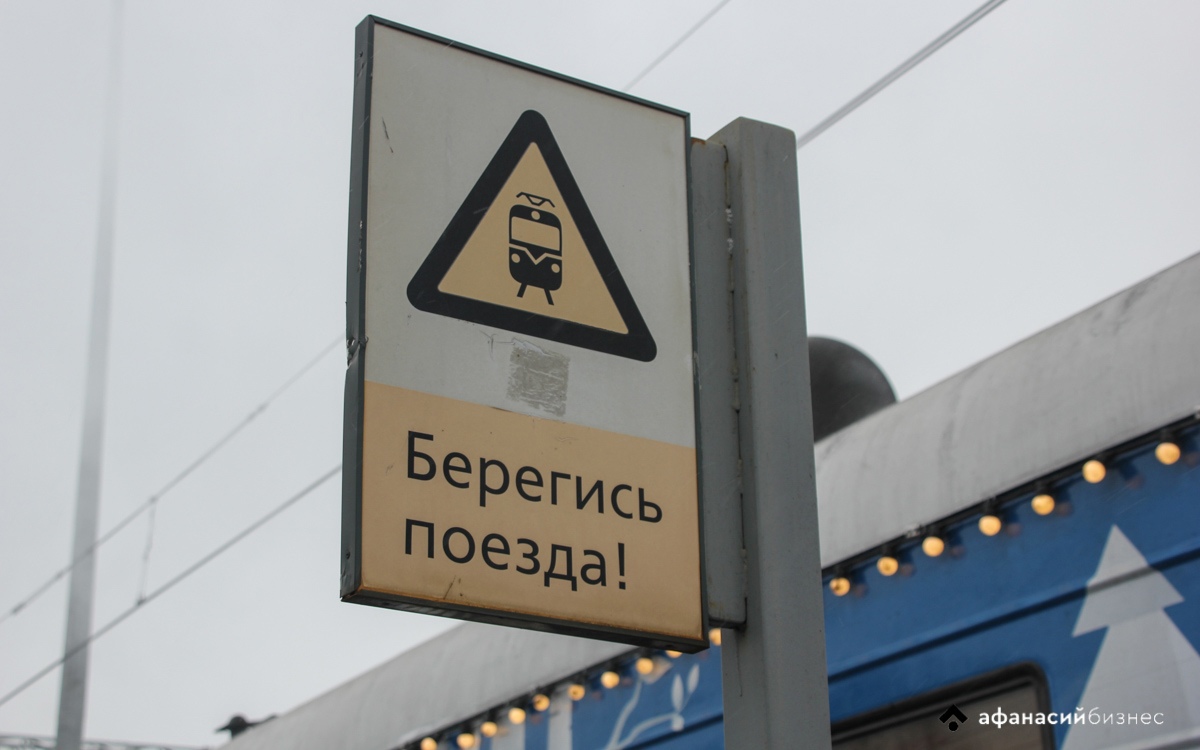 В Тверской области лось попал под поезд