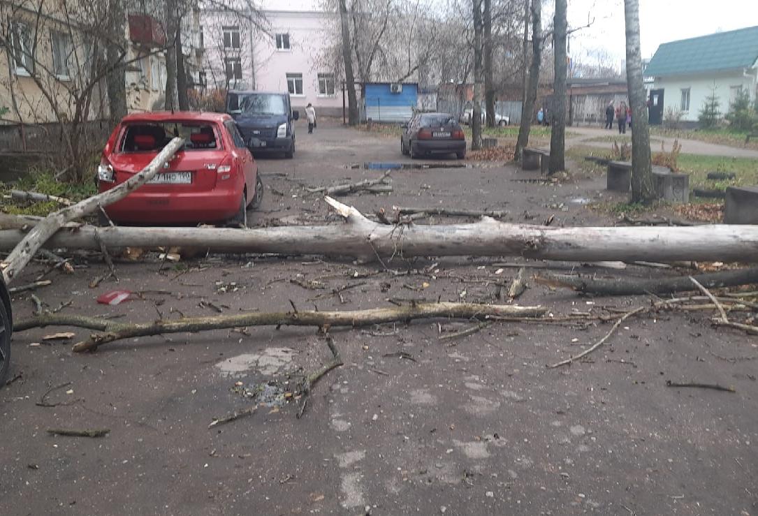 В Тверской области сильный ветер валит деревья во дворах домов