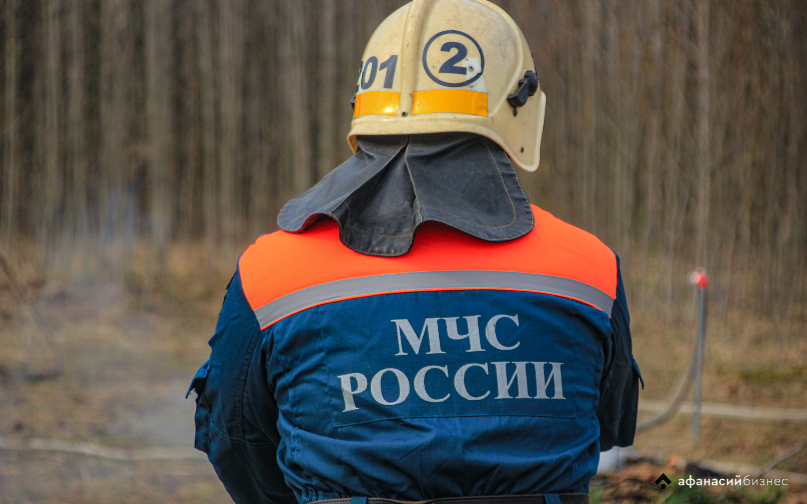 В Тверской области тушили лесной пожар