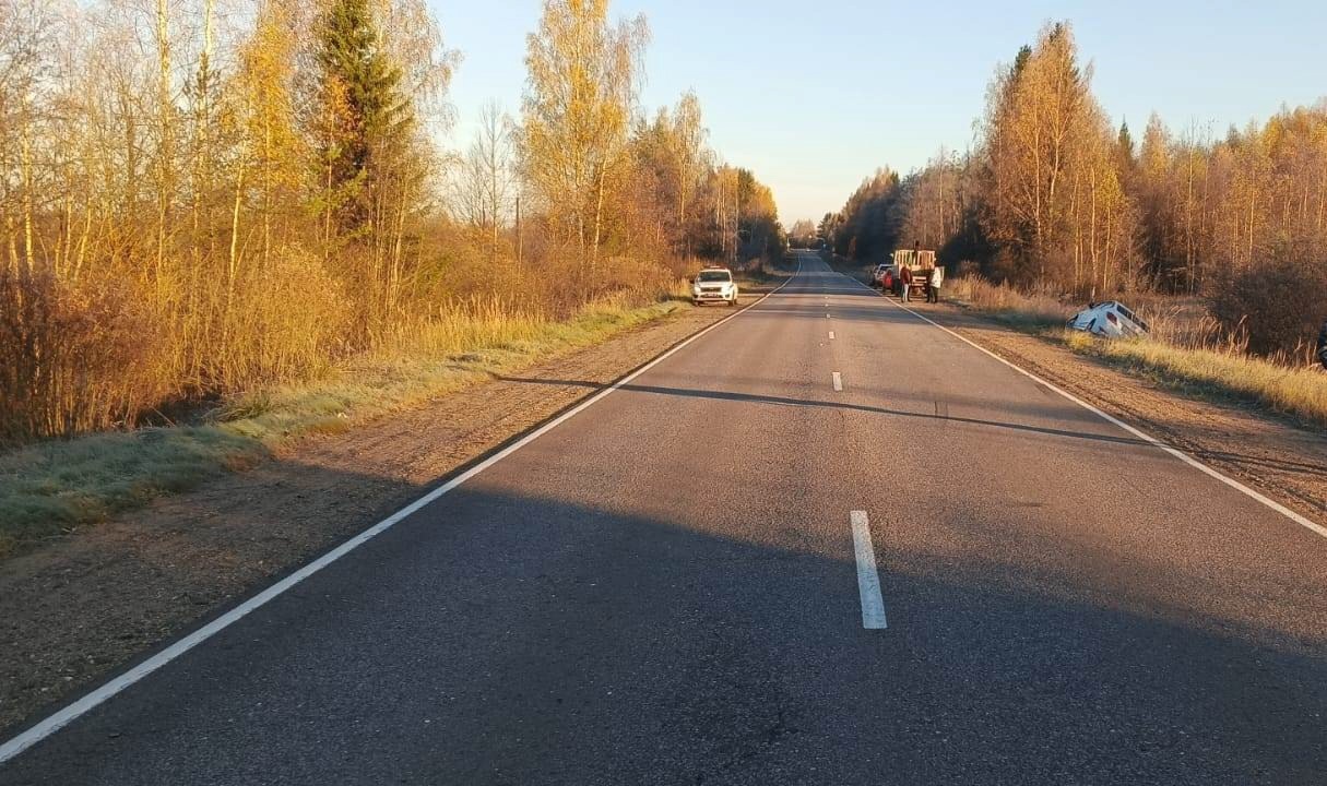 Два человека пострадали из-за лося в Тверской области