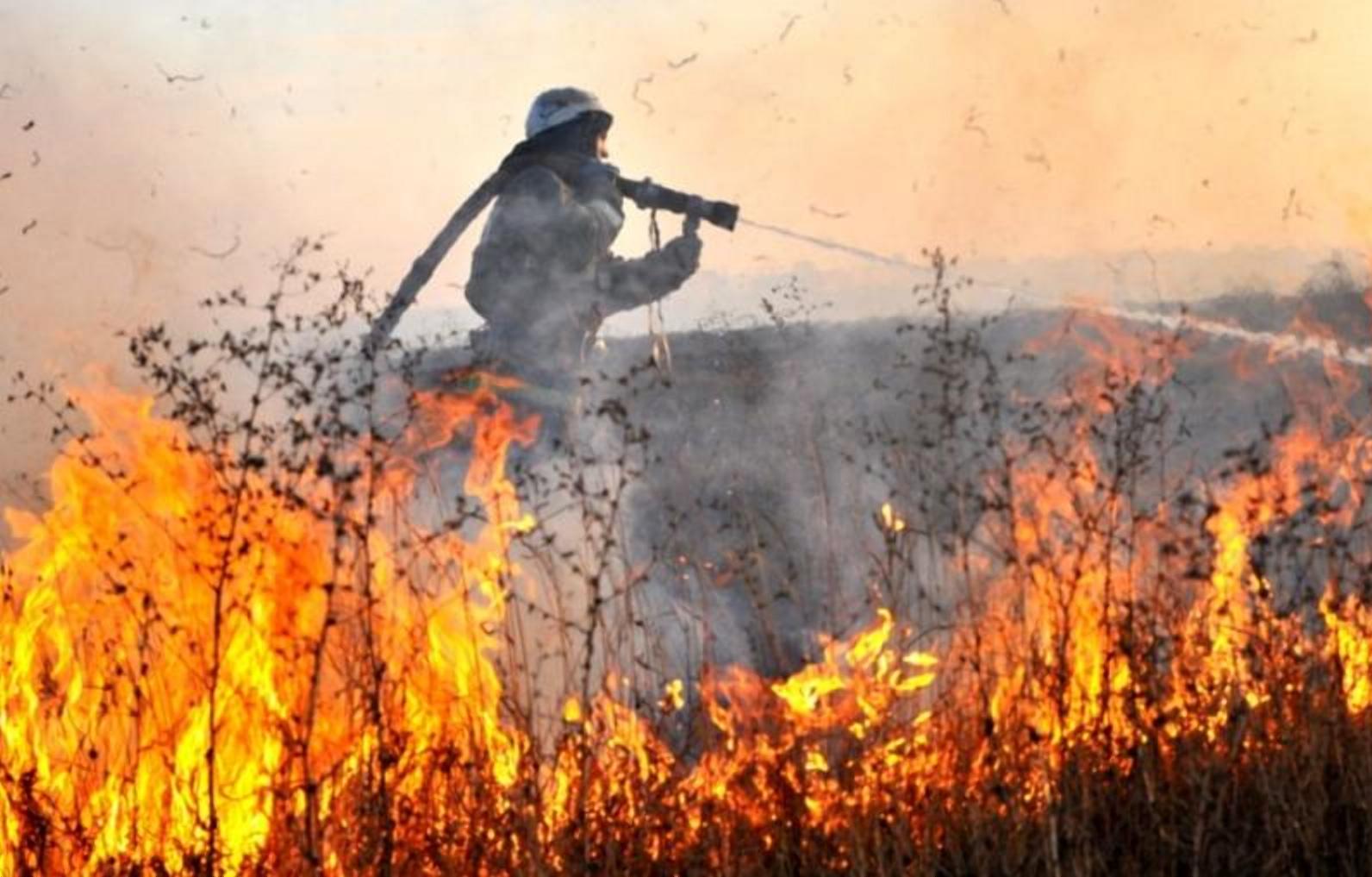 В России максимальный штраф за нарушение противопожарных правил в лесах вырос до 2 млн рублей