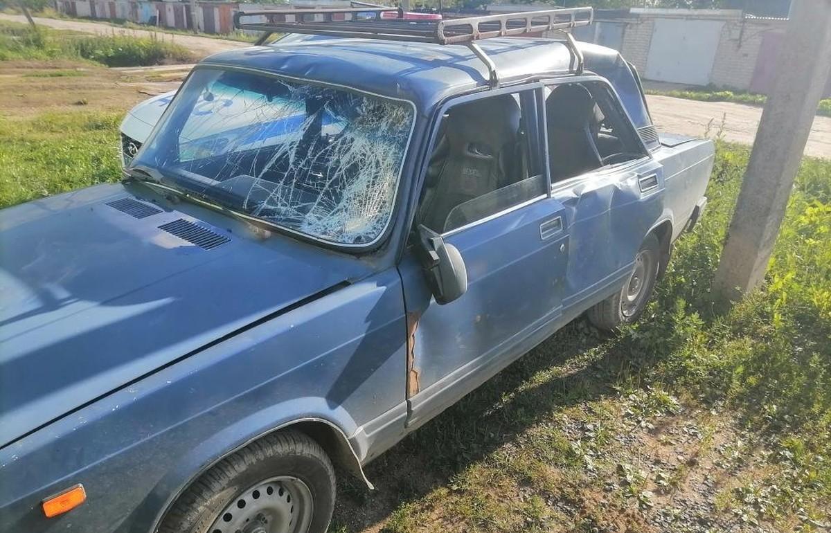 В Тверской области легковушка сбила лося - новости Афанасий