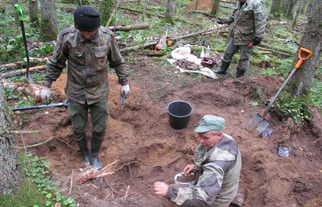В лесу под Андреаполем в Тверской области нашли останки летчика - новости Афанасий