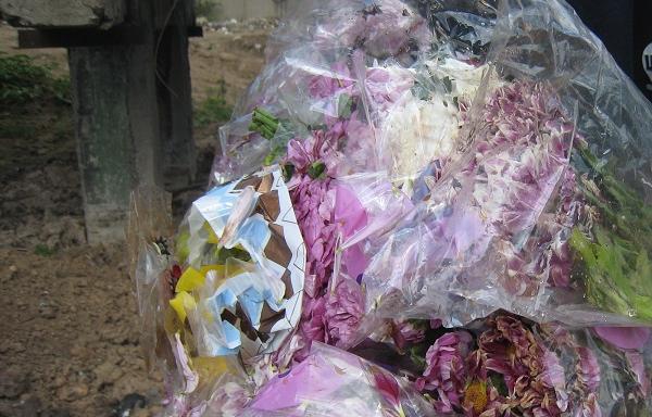 Владелец уничтожил цветочную продукцию, зараженную вредителем карантинного значения